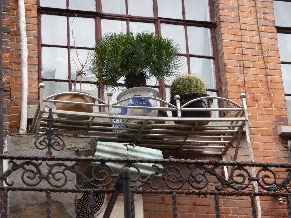 Kleingarten im 2.Stock